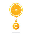 fresh orangevitamin c vector image