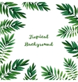 background with watercolor green leaves vector image