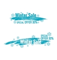 banner winter sale vector image