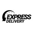 express delivery icon vector image