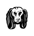 sad cocker spaniel dog front view retro black vector image vector image