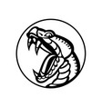 aggressive copperhead snake baring fangs mascot vector image