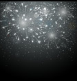 beautiful fireworks on night background vector image vector image