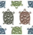 seamless pattern with hand drawn turtles vector image vector image