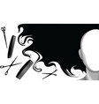hair style beauty background vector image