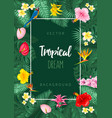 summer tropical background design vector image