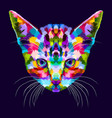 colorful kitten on abstract pop art vector image vector image