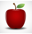 red apple vector image vector image