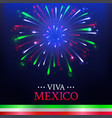 festive mexican banner card with colorful vector image