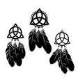 set three dream catchers with feathers vector image