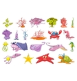 set of seaweed and sea animals vector image