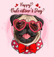 happy valentines day pug dog head wearing glasses vector image vector image