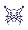 minimalist lynx head icon in line art vector image