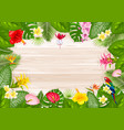 summer tropical frame design vector image