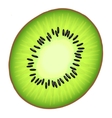 juicy half the kiwi vector image