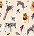colorful pattern with tiger leopard lion birds vector image