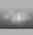 white smoke cloud isolated vector image vector image