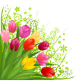 bouquet of flowers vector image