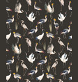 watercolor african crane pattern vector image
