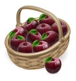red apple basket vector image vector image