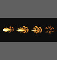 gun flashes or gunshot animation fire explosion vector image