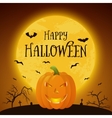 happy halloween pumpkin background vector image