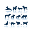 dogs and cats silhouettes vector image vector image