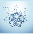 ice cubes vector image
