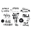 autumn lettering design vector image