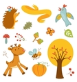 cute forest animals colorful collection vector image vector image