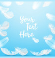 frame delicate white vector image vector image
