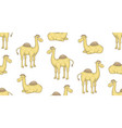 seamless pattern with camels vector image