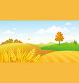 fall fields landscape vector image vector image