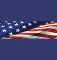national symbol of the usa vector image vector image