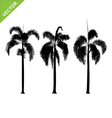 palm tree silhouette vector image vector image