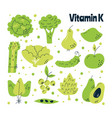 main food sources vitamin k the concept vector image