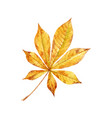 watercolor fall leaves set vector image