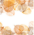 frame of autumn leaves vector image