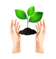 hand open palm holds the sprout concept vector image