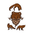 fox element vector image