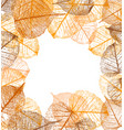 frame of autumn leaves vector image