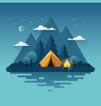 night camping in flat style vector image vector image