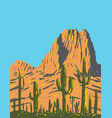saguaro cactus with beehive peak in tucson vector image vector image