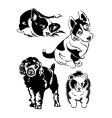 dogs vector image