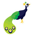 cartoon peacock vector image