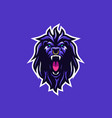 lion wild vector image