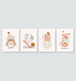 modern abstract art botanical wall art boho vector image