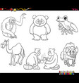 cartoon animal characters set coloring book page vector image