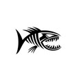 piranha logo design vector image