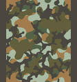 camouflage seamless pattern vector image